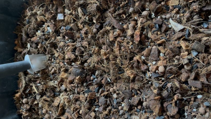 DIY Aroid Base Mix for Healthy&nbsp;Plants